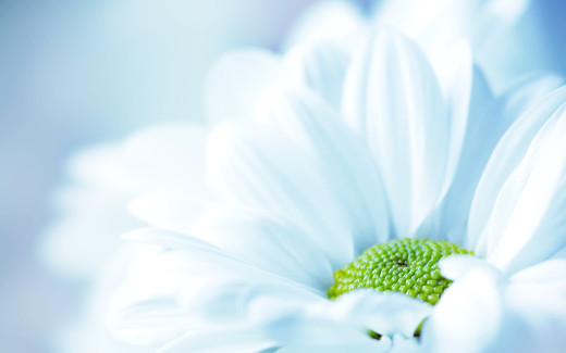 510471 (a): :2560x1600